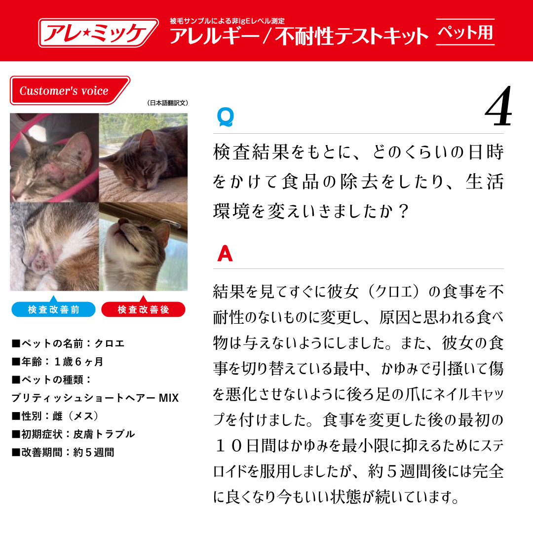 獣医師推奨 業界topクラスの 3項目 アレルギー不耐性検査キット アレミッケ