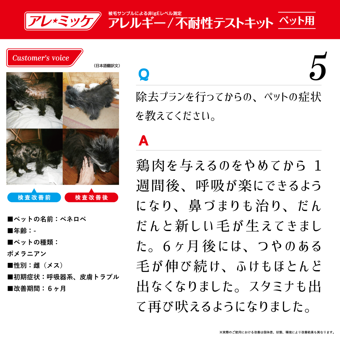 さらに値下げ 373項目 5匹用 アレルギー過敏性検査キット アレミッケ 犬 猫 ペット アレルギー検査 ランキング受賞 Lanmexx Com さらに値下げ 373項目 5匹用 アレルギー過敏性検査キット アレミッケ 犬 猫 ペット アレルギー検査 ランキング受賞 Lanmexx Com