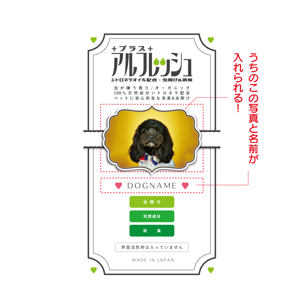 アルフレッシュプラス写真&名入れ