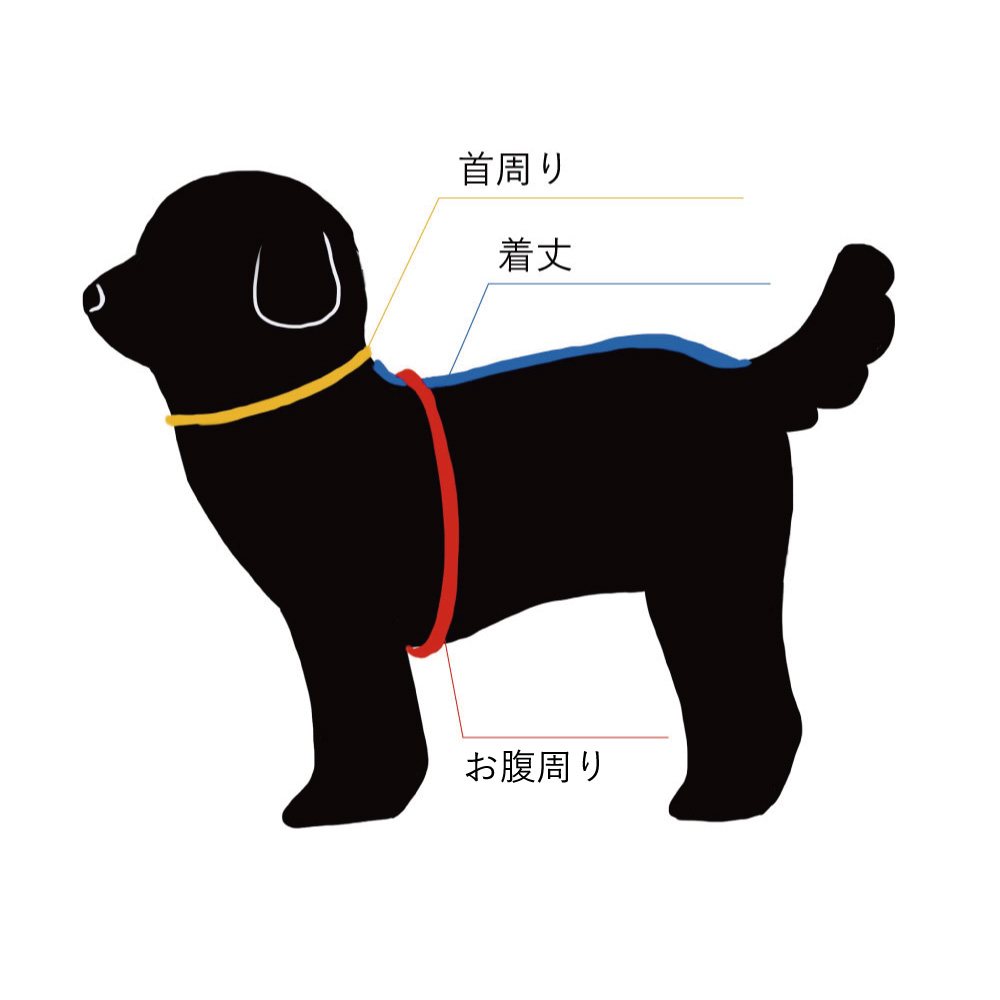 サイズ測り方